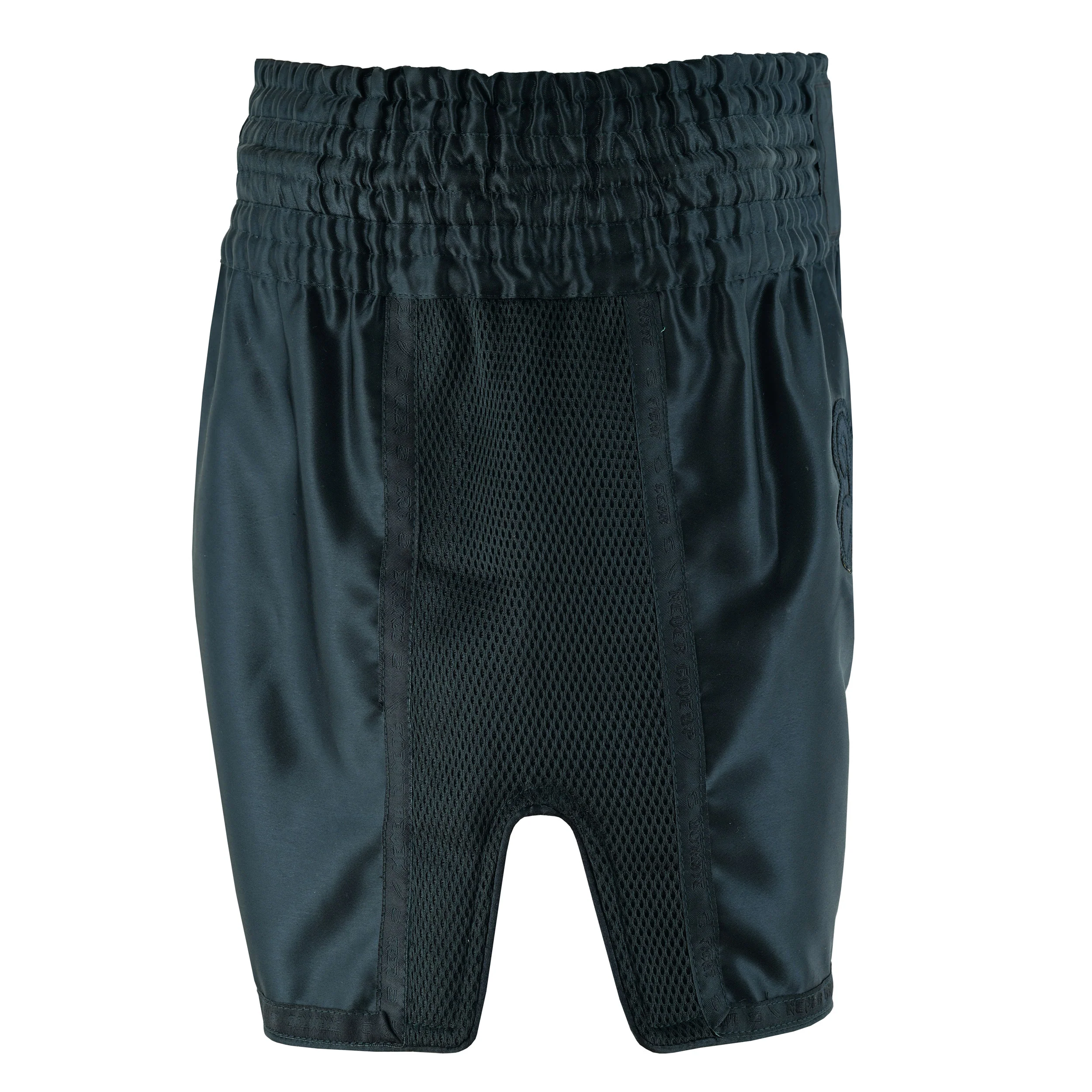 Elite Muay Thai Shorts - Image 5
